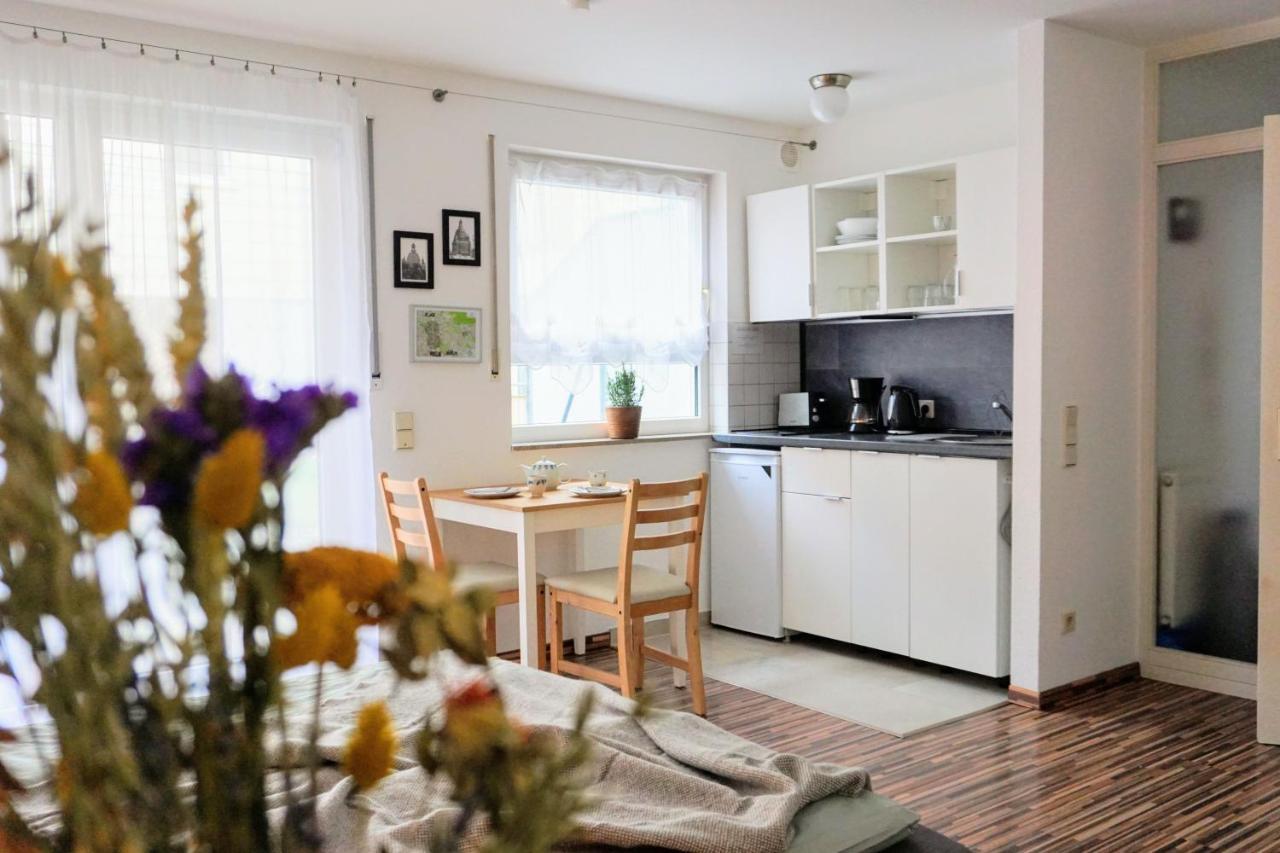 Gemuetliche Ferienwohnung In Ruhiger Lage 德累斯顿 外观 照片