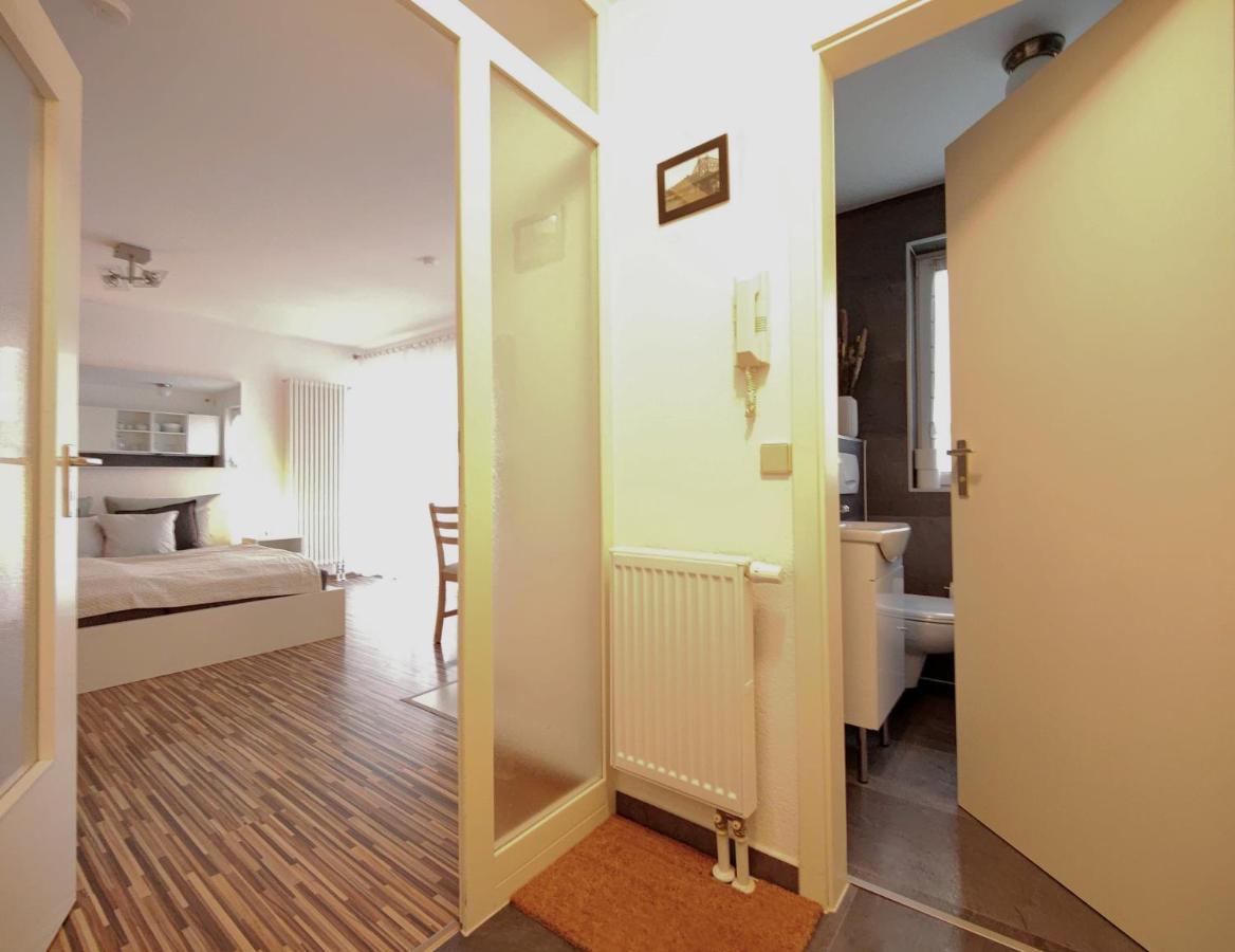 Gemuetliche Ferienwohnung In Ruhiger Lage 德累斯顿 外观 照片