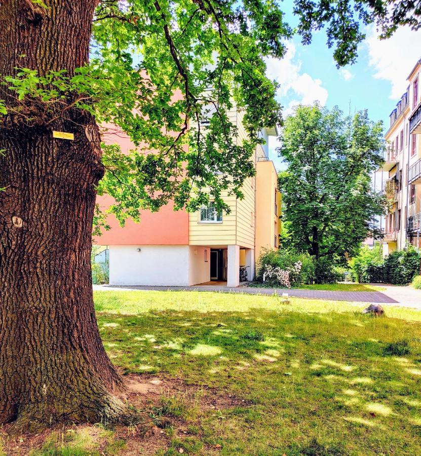 Gemuetliche Ferienwohnung In Ruhiger Lage 德累斯顿 外观 照片
