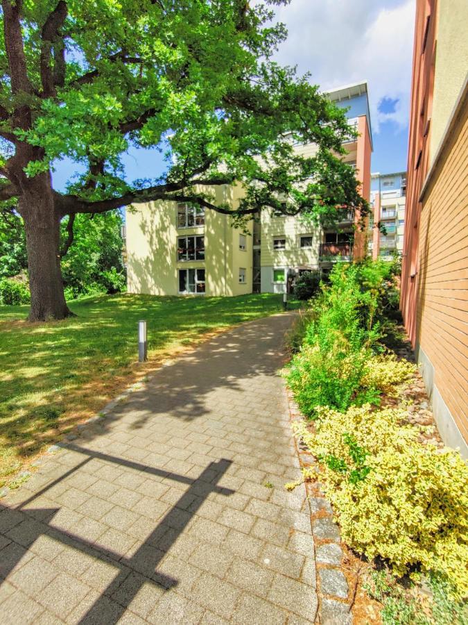 Gemuetliche Ferienwohnung In Ruhiger Lage 德累斯顿 外观 照片